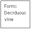 Text Box: Form:   Deciduous vine 
 
