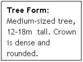 Text Box: Tree Form: Medium-sized tree, 12-18m  tall. Crown is dense and rounded. 
