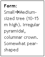 Text Box: Form: SmallMedium-sized tree (10-15 m high). Irregular pyramidal, columnar crown. Somewhat pear-shaped
