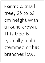 Text Box: Form: A small tree, 25 to 63 cm height with a round crown.  This tree is typically multi-stemmed or has branches low. 
