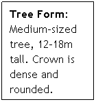 Text Box: Tree Form: Medium-sized tree, 12-18m tall. Crown is dense and rounded. 
