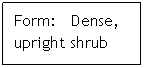 Text Box: Form:   Dense, upright shrub
 
